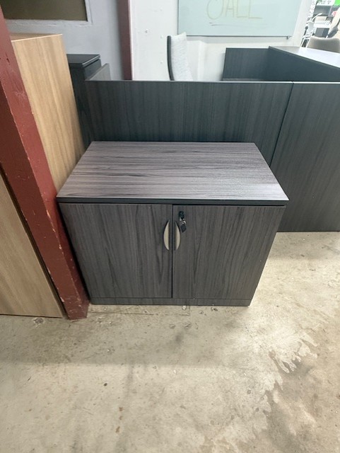 2-Door Storage Cabinet in Gray